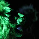 Aslan